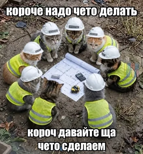 Котики на строительном совещании