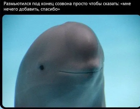 Размылся под конец созвона
