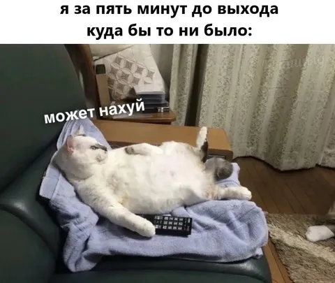 За пять минут до выхода