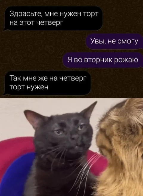 Я во вторник рожаю