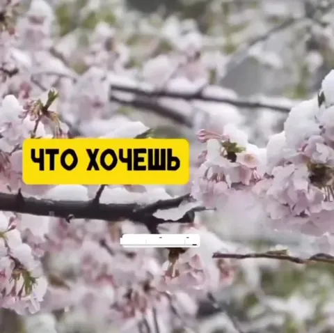 Что хочешь — отмен сделал