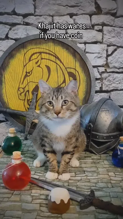 Khajiit Has Wares