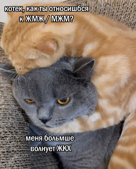 Котек больше волнует ЖКХ