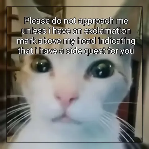 Side Quest Cat