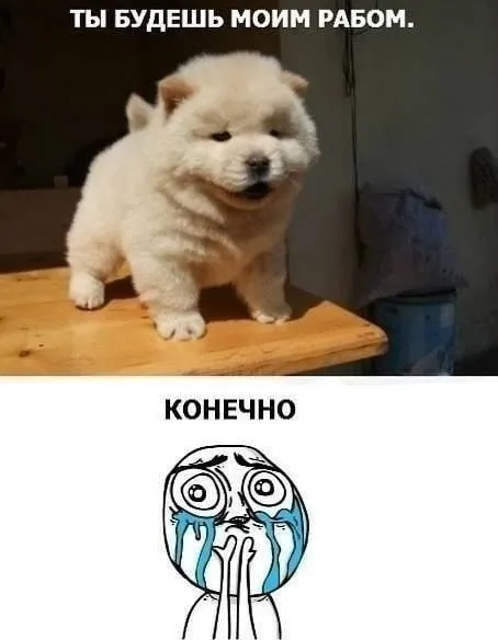Ты будешь моим рабом