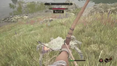 Epic Music, Tiny Mud Crab