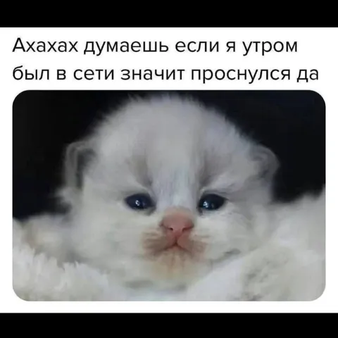 Если был в сети — значит проснулся