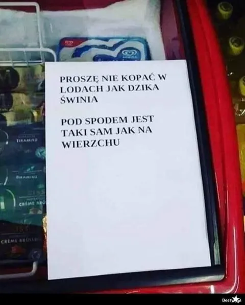Nie kopać w lodach jak dzika świnia
