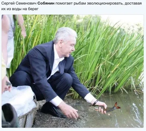 Собянин помогает рыбам эволюционировать