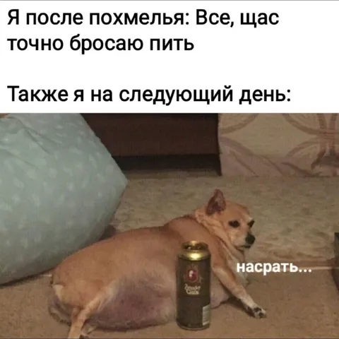 После похмелья снова пить