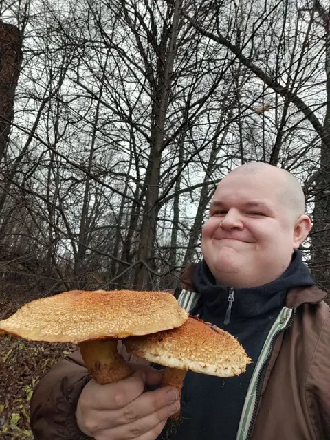 Нашёл огромные грибы