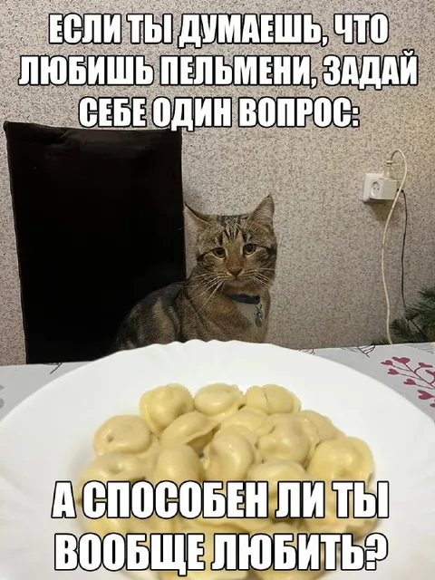 Кот проверяет любовь к пельменям