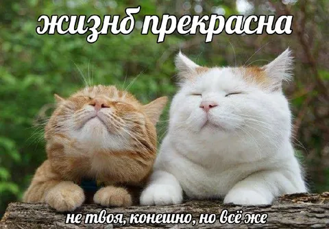 Жизнь прекрасна, но всё же
