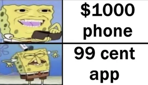 Expensive Phone Cheap App