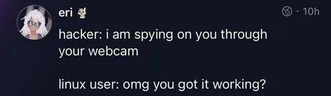 Linux User Gets Webcam Working
