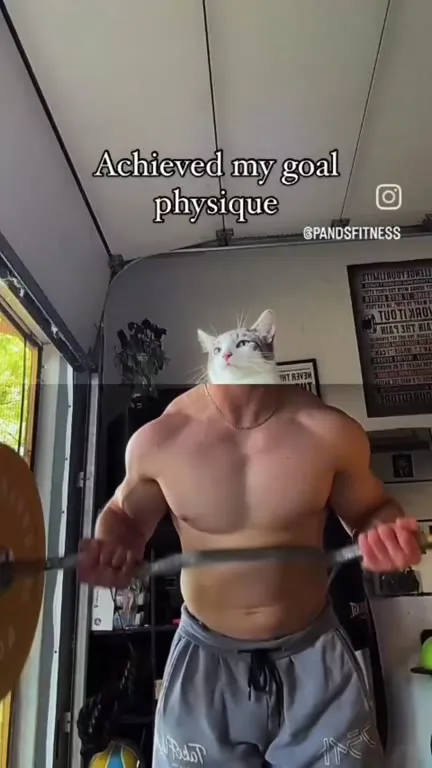 Cat Achieves His Goal Physique