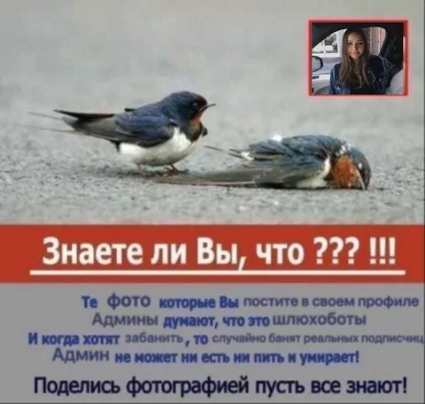 Админ случайно банит подписчиков