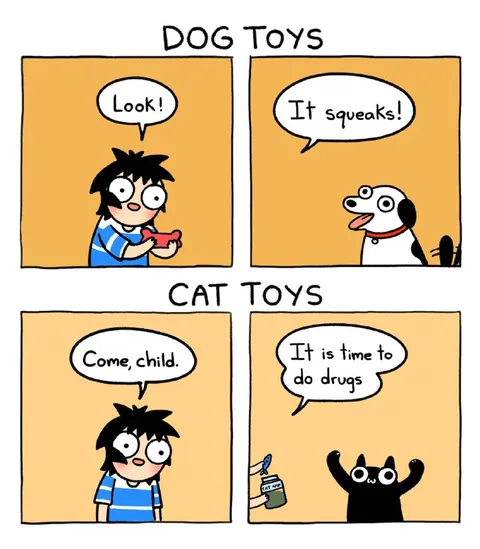 Dog Toys vs Cat Toys