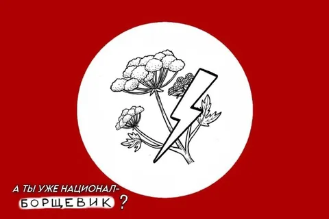 Национал-борщевик