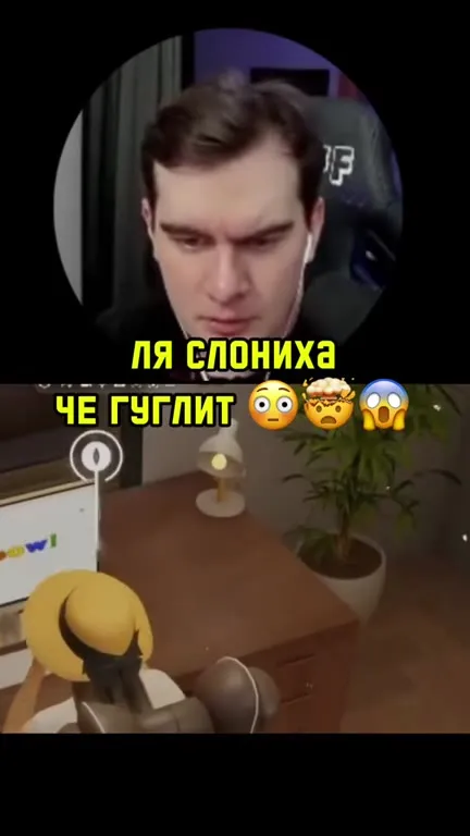 Ля слониха че гуглит