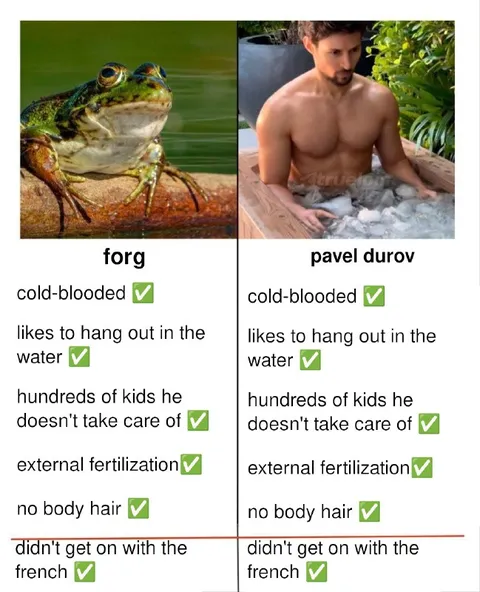Frog and Pavel Durov