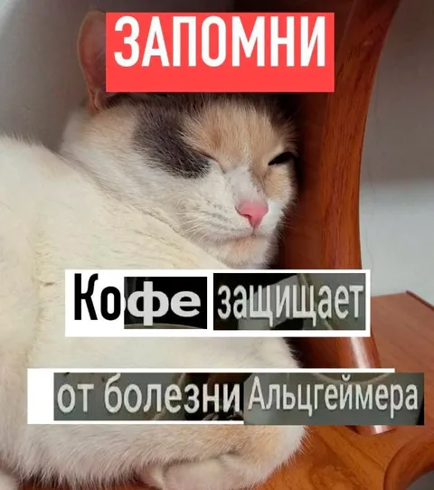 Кофе защищает от Альцгеймера