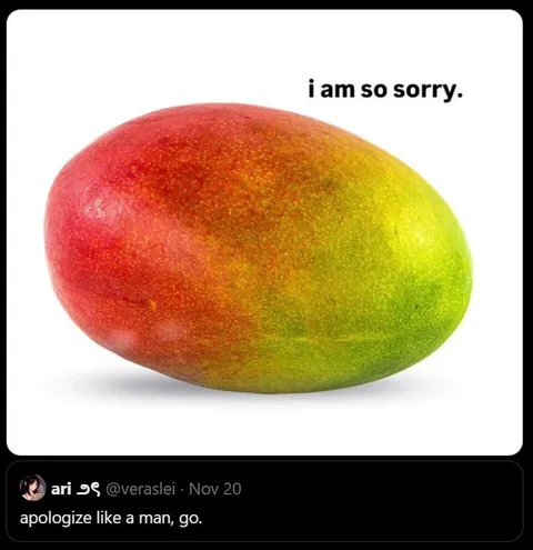 Mango Says Sorry Like a Man
