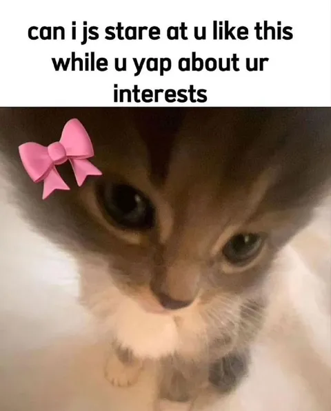 Cat Staring While You Yap