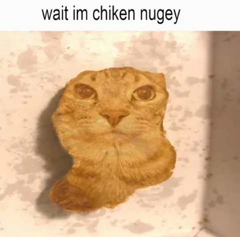 Chicken Nugget Cat