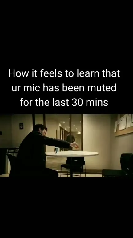Mic Muted for Thirty Minutes
