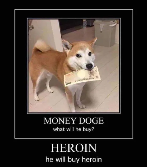 Money Dog Buys Heroin