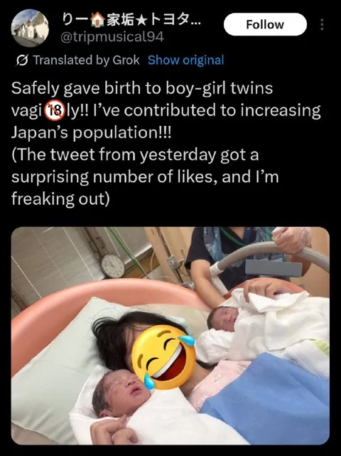 Boy-Girl Twins Population Joke