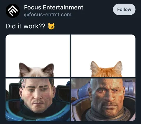 Did It Work Cat Face Swap