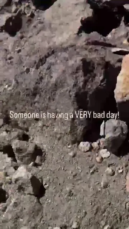 Someone Is Having a Very Bad Day