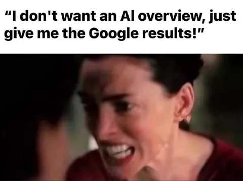 No AI Overview, Just Google Results