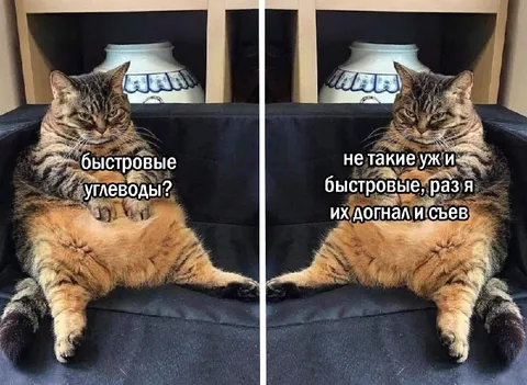 Быстрые углеводы не такие быстрые