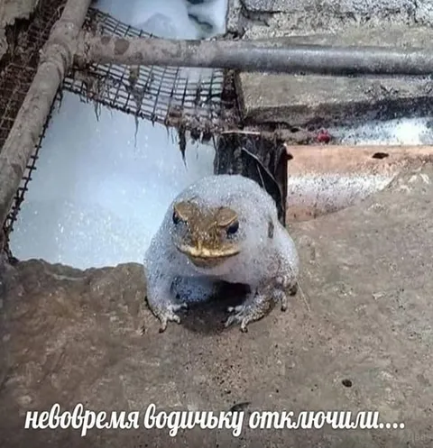 Не вовремя водичку отключили