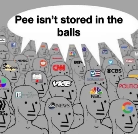 Pee Isn’t Stored in the Balls