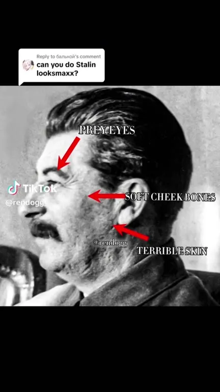 Stalin Looksmaxxing Transformation