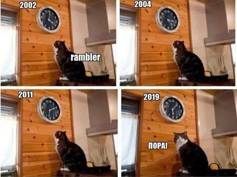 Кот дождался своего часа