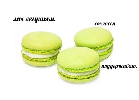 Мы лягушки