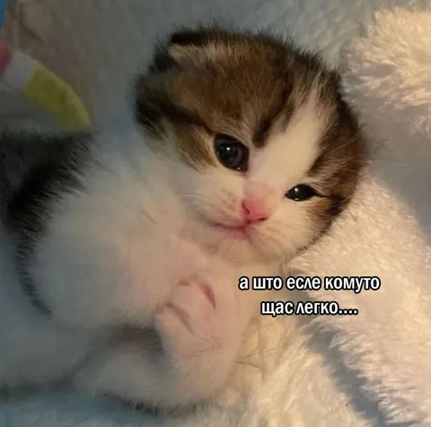 А што есе комуто щас легго