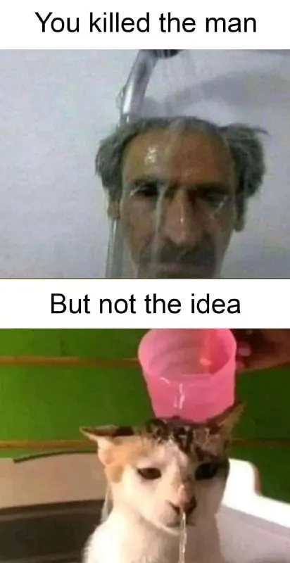 You killed the man but not the idea