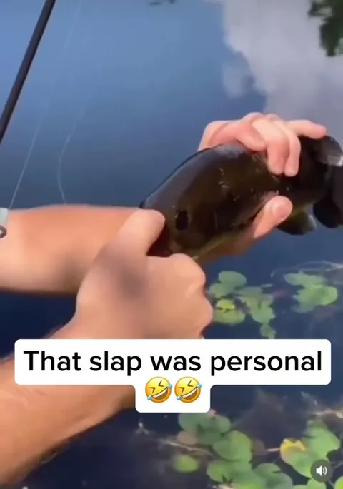 That Slap Was Personal