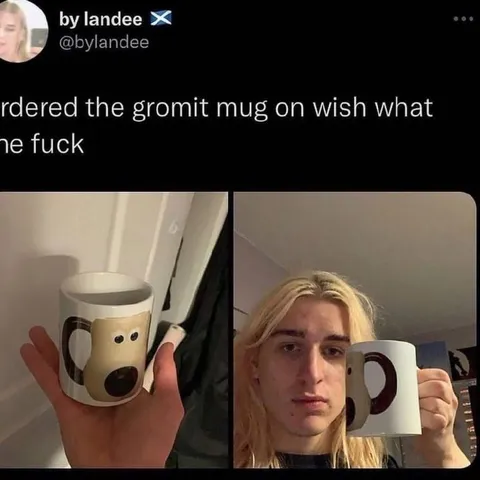 Gromit Mug Wish Fail