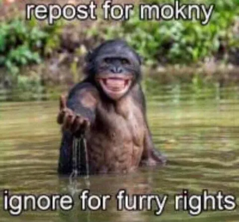 Repost for Mokney