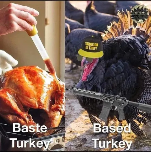 Baste Turkey vs Based Turkey