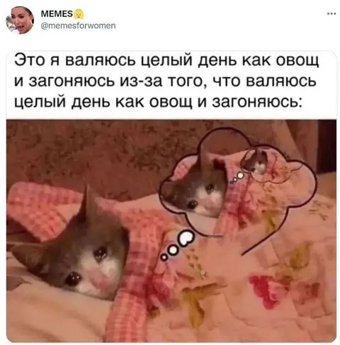 Целый день как овощ