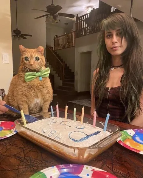 Кот на дне рождения