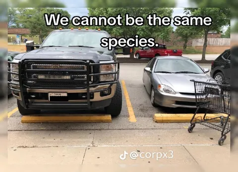 We Cannot Be the Same Species